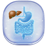 Liver & Digestive Treatment icon