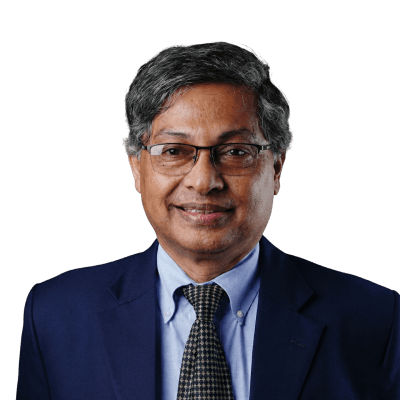 Professor Dr. Abdul Hannan Chowdhury portrait